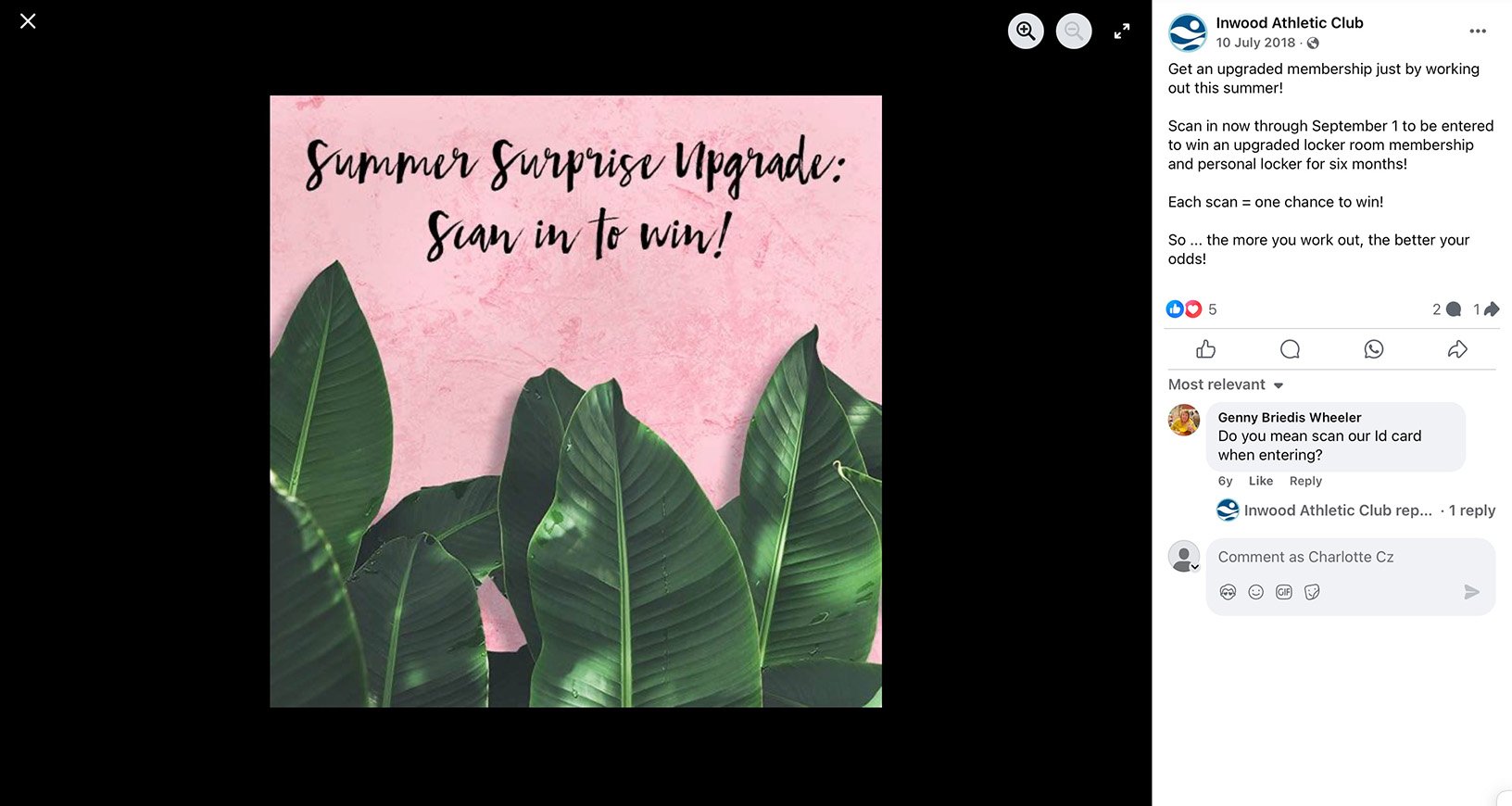 Green tropical leaves on pink background with giveaway call to action text